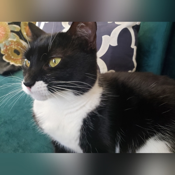 Meet your Posher, Mishelle - Picture 9 of 14